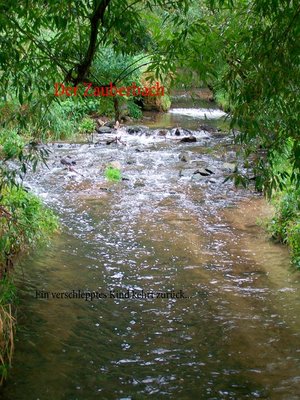 cover image of Der Zauberbach